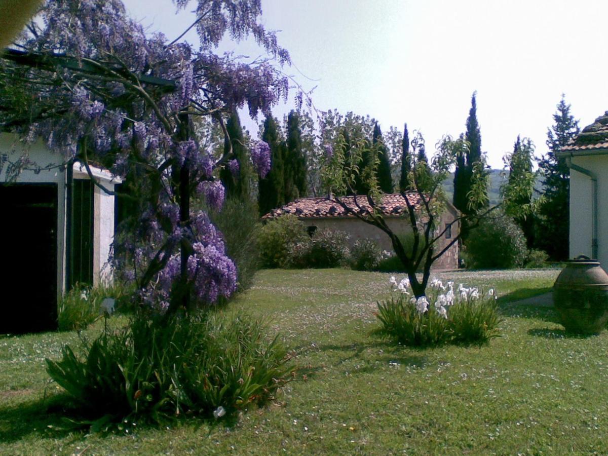Vignagrande * Saturnia